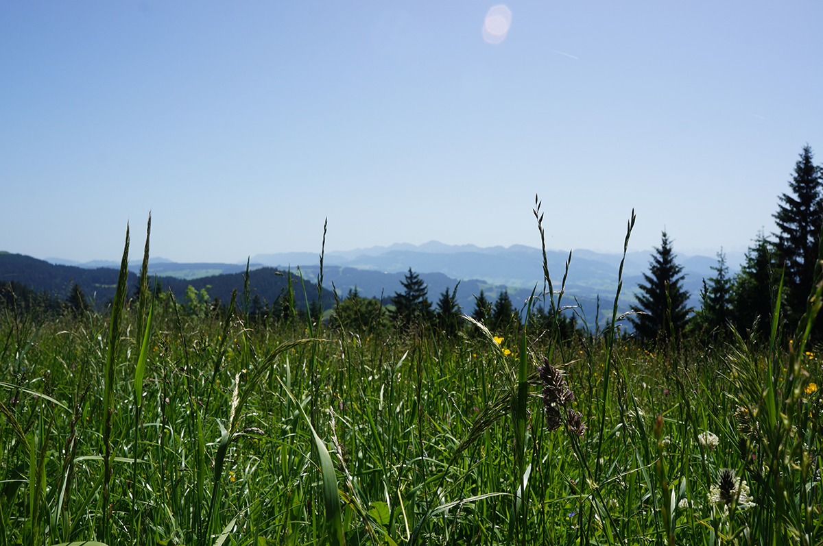 Bregenz am Bodensee – Eindrücke unserer #CasinoUrlaub Reise