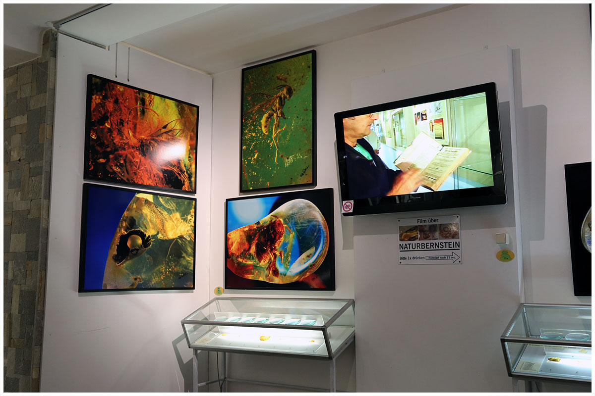 Felsenmuseum-Bernstein_58